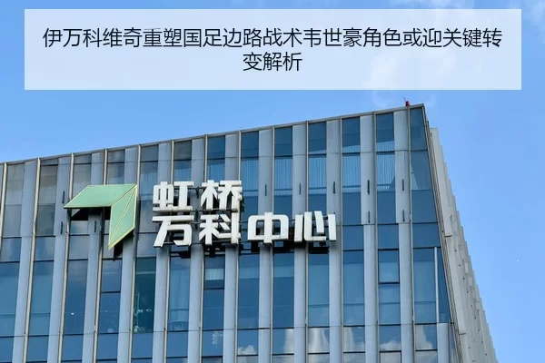 伊万科维奇重塑国足边路战术韦世豪角色或迎关键转变解析