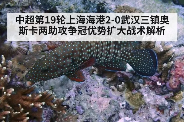 中超第19轮上海海港2-0武汉三镇奥斯卡两助攻争冠优势扩大战术解析