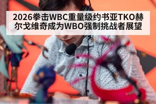 2026拳击WBC重量级约书亚TKO赫尔戈维奇成为WBO强制挑战者展望