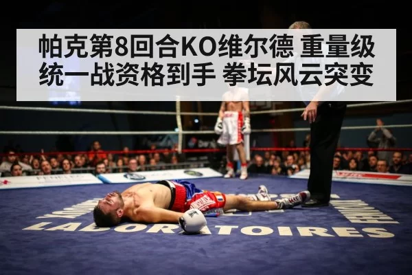 帕克第8回合KO维尔德 重量级统一战资格到手 拳坛风云突变（bandaotiyu）