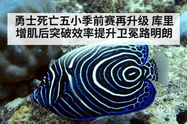 勇士死亡五小季前赛再升级 库里增肌后突破效率提升卫冕路明朗 - bandaotiyu