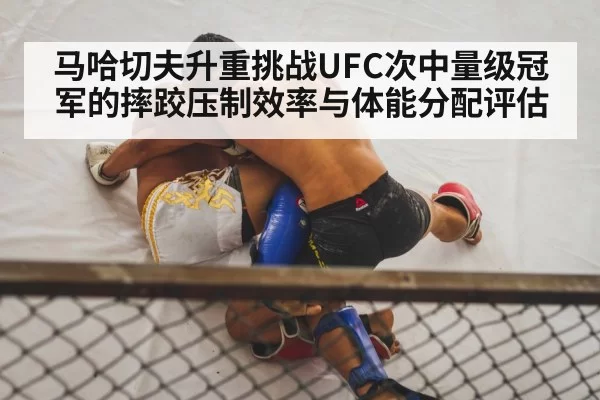 MMA wrestling takedown octagon
